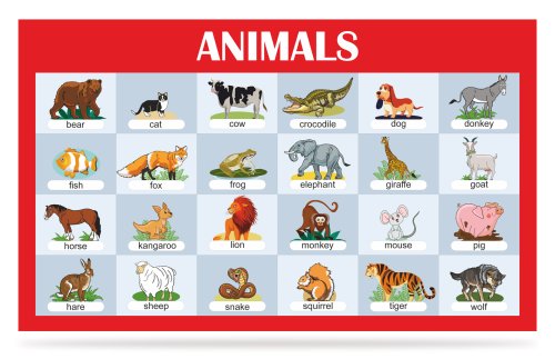 Стенд "Animals" 47846