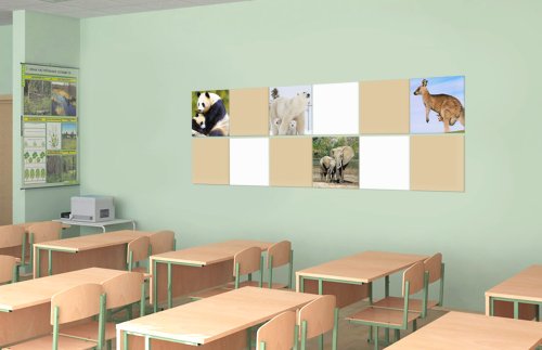 Комплект магнитных панелей для кабинета биологии 49332