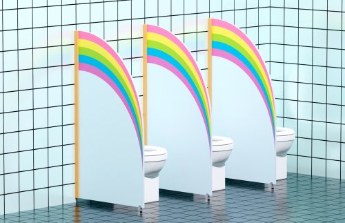 Перегородка "Радужная" 62х115 см 52363