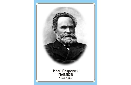 Стенд портрет Иван Петрович Павлов Н2327-6