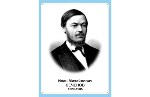 Стенд портрет Иван Михайлович Сечнов Н2327-7