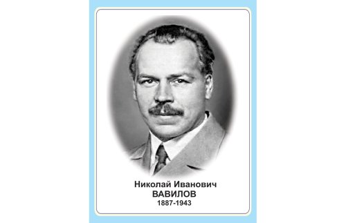 Стенд портрет Николай Иванович Вавилов Н2327-8