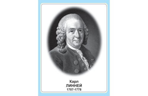 Стенд портрет Карл Линней Н2327-9
