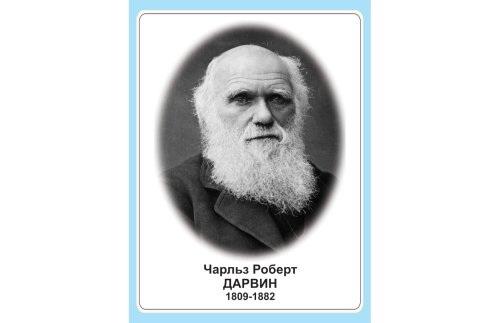 Стенд портрет Чарльз Роберт Дарвин Н2327-10
