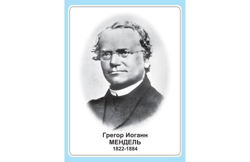 Стенд портрет Грегор Иоганн Мендель Н2327-11