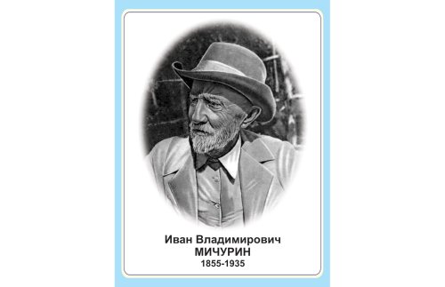 Стенд портрет Иван Владимирович Мичурин Н2327-12