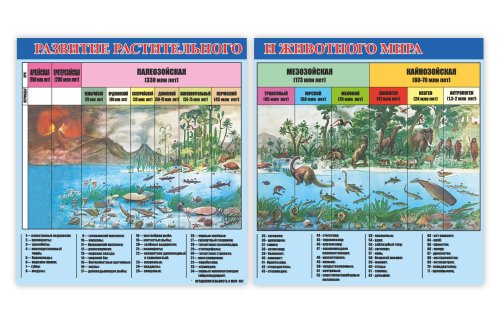 Развитие растительного и животного мира Н2327-14