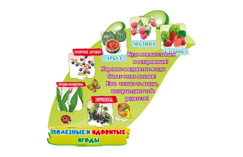 Стенд "Полезные и ядовитые ягоды" 3858