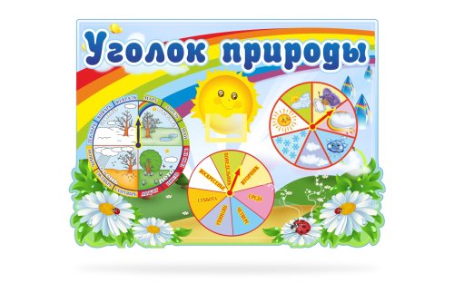 Уголок природы 6361