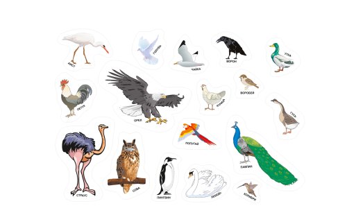 Набор магнитов "Птицы" 11361