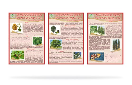 Комплект стендов "Растения вокруг нас" 12186