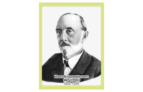 Стенд портрет Мичурин И.В. 14168