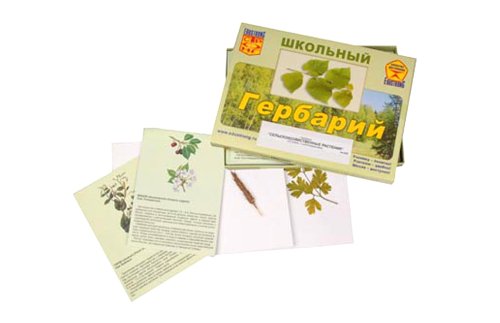 Гербарий раздаточный. Жизненные формы цветковых растений  17090