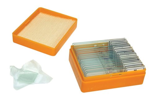 Набор микропрепаратов индивидуальный. Биология и физиология 17092