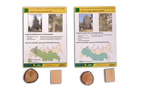 Коллекция. Древесные растения и их распространение 16785