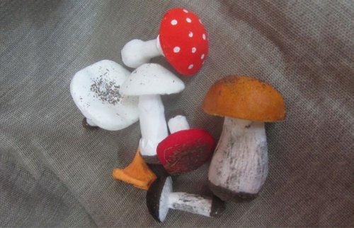 Набор муляжей. Грибы съедобные и ядовитые 17109