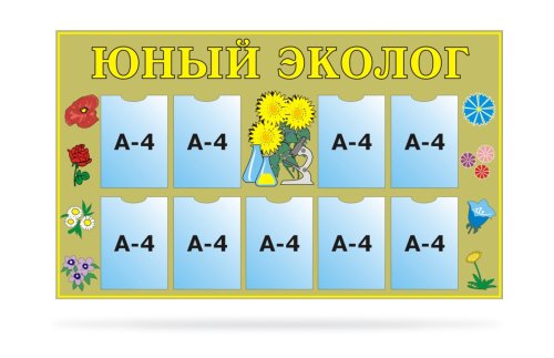 Юный эколог 20148Р