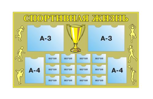 Стенд Спортивная жизнь 20147Р