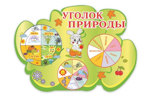 Уголок природы 00232Р