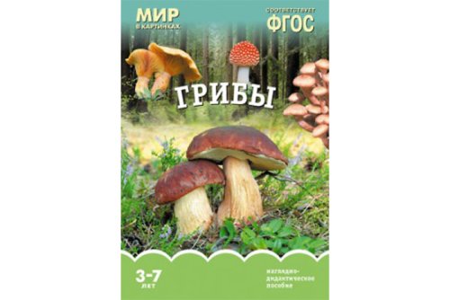 ФГОС Мир в картинках. Грибы МС10919