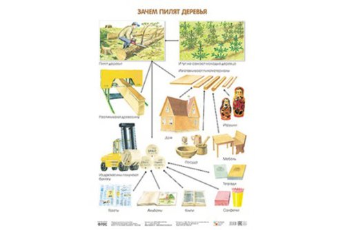 Плакат Зачем пилят деревья МС10635