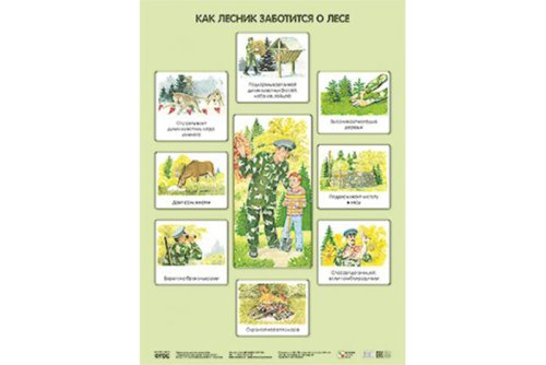 Плакат Как лесник заботится о лесе МС10637