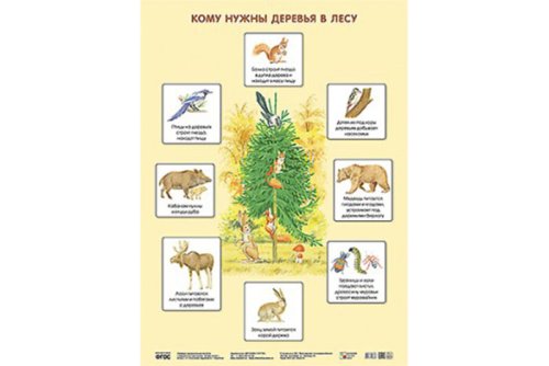 Плакат Кому нужны деревья в лесу МС10638