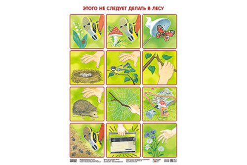 Плакат Этого не следует делать в лесу МС10640