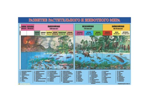 Развитие растительного и животного мира 6798