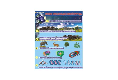 Уровни организации живой природы 6799