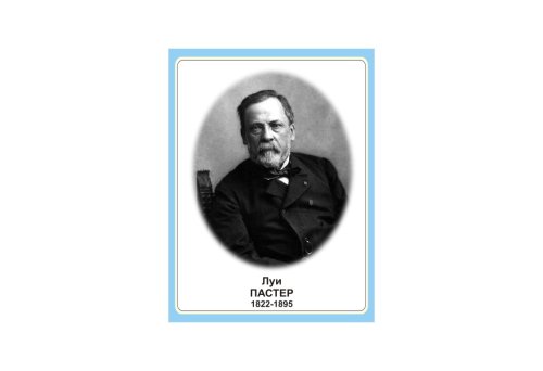 Стенд портрет Луи Пастер Н2327-5