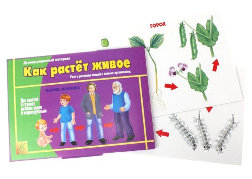 Игра настольная "Как растет живое" 679933
