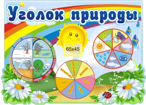 Уголок природы "Радуга" 6361