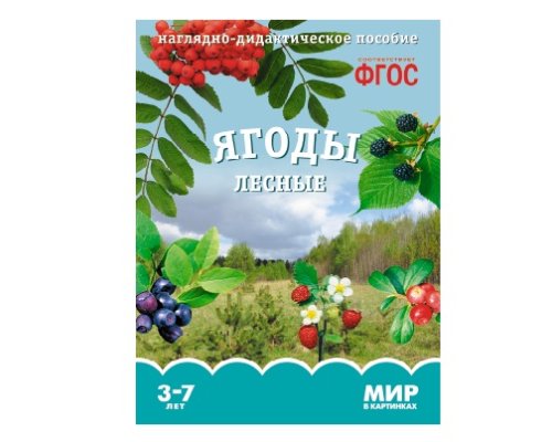 Пособие ФГОС Ягоды лесные. МС10591(11284)