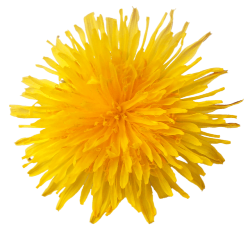 Мы предлагаем своим клиентам и партнерам не только бесплатный дизайн стендов, декораций, пособий и других товаров, но и комплексные интерьерные решения.