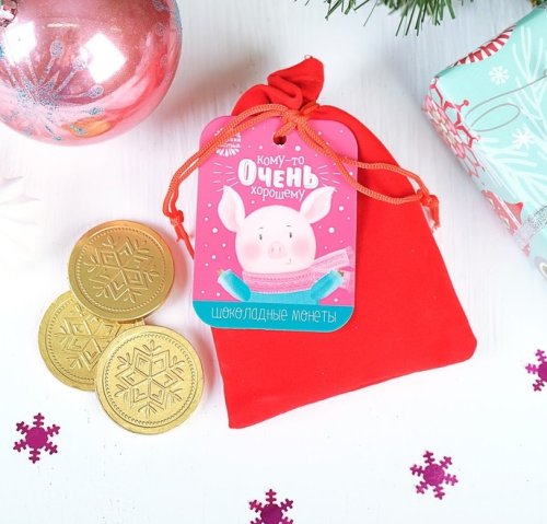 Шоколадные монеты в мешочке, 10 шт. "Кому-то очень хорошему" 3446047С