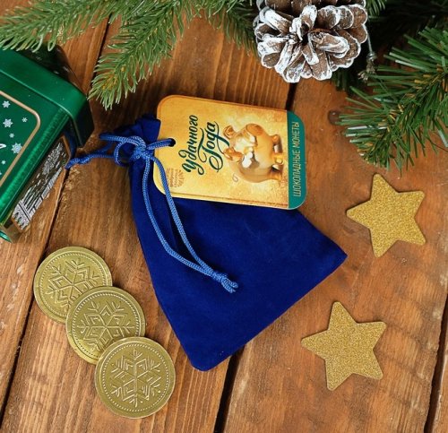 Шоколадные монеты в мешочке, 10 шт. "Удачного года" 3446045С