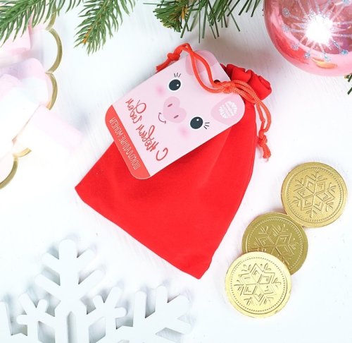 Шоколадные монеты в мешочке, 10 шт. "С новым годом" 3446046С