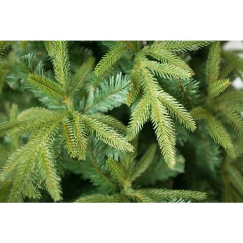 Ёлка "Фьерро" Премиум 150±5 см, d нижнего яруса 93±3 см, 482 ветки  1605515