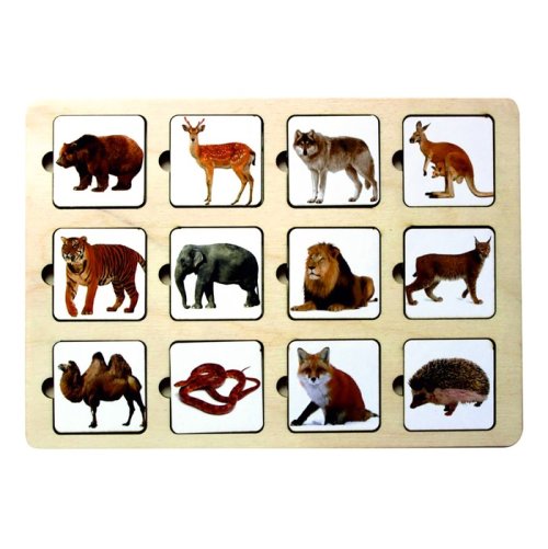 Секретики "Зоопарк" 3141773